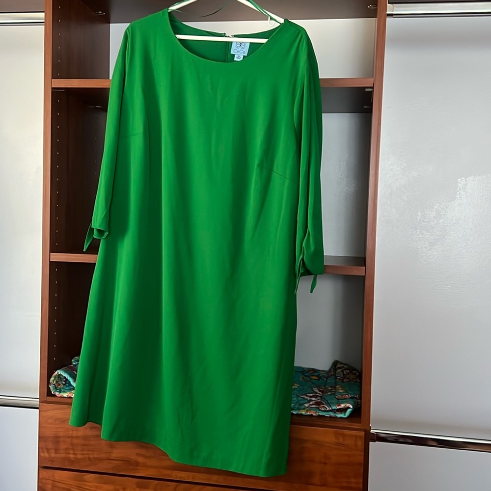 NWT color lush green never wore